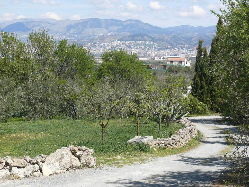 Гостьовий будинок Cortijo Algabia Alhendin Екстер'єр фото
