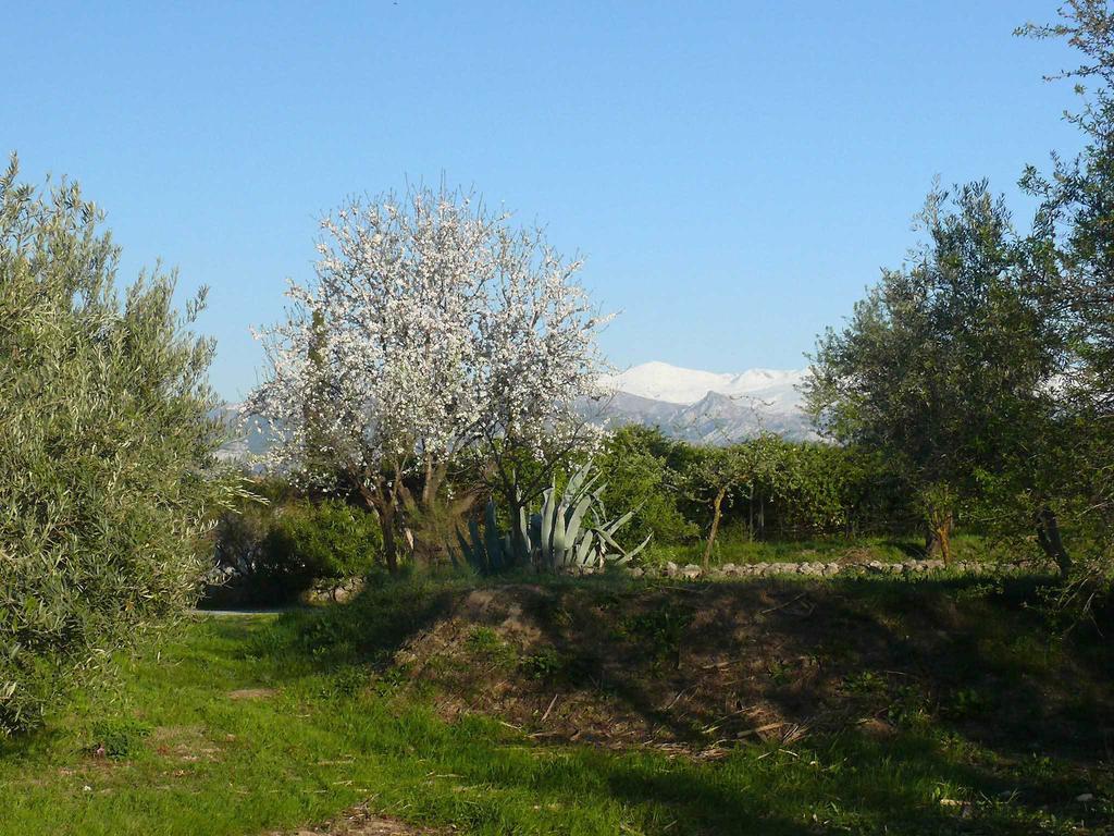 Гостьовий будинок Cortijo Algabia Alhendin Екстер'єр фото