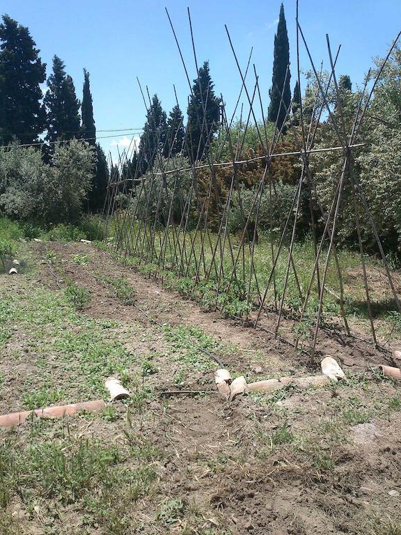 Гостьовий будинок Cortijo Algabia Alhendin Екстер'єр фото